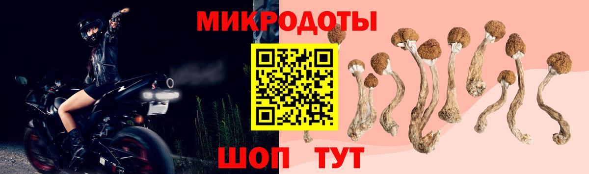 Димитровград  Галлюциногенные грибы мухоморы  Вход с VPN 